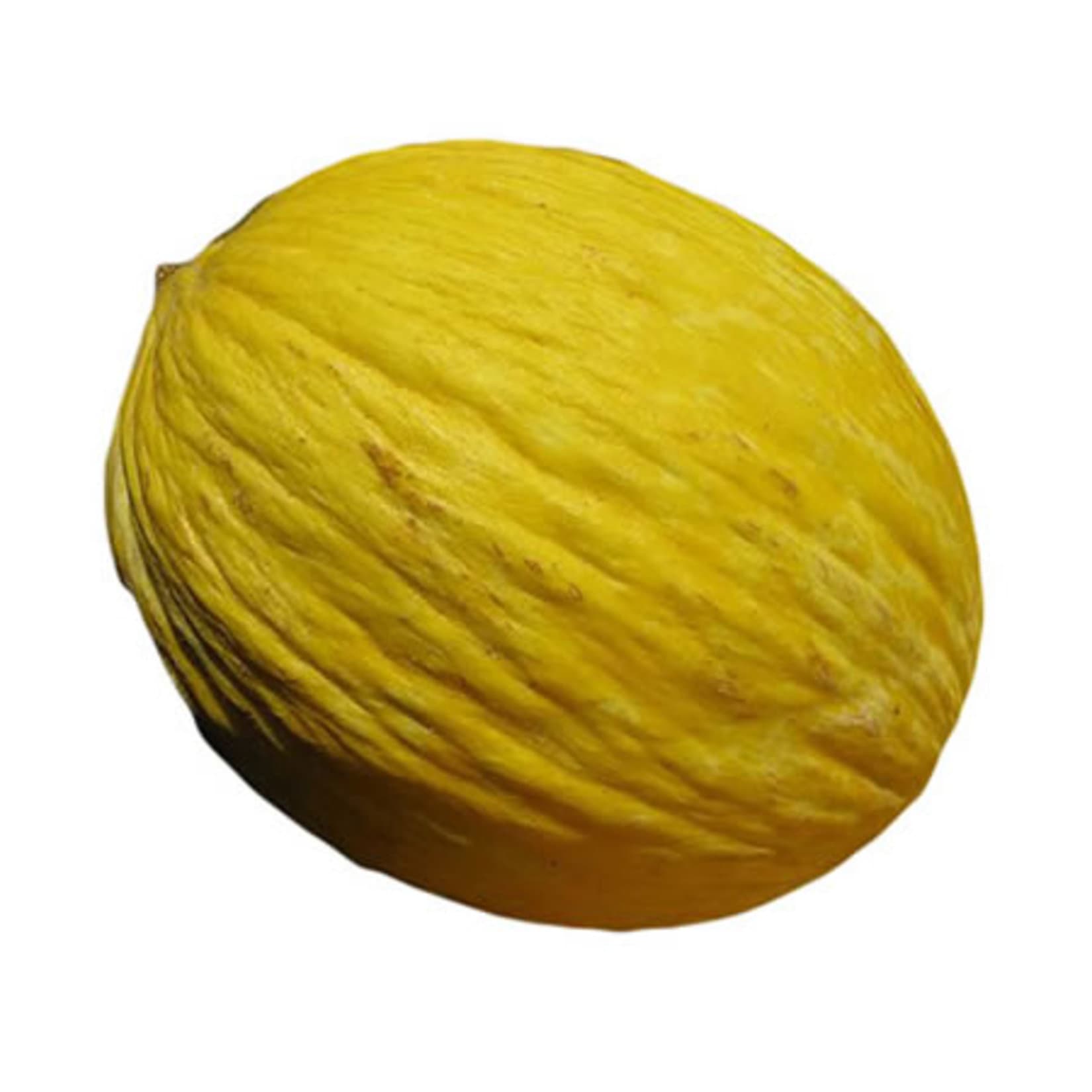 Kavun
